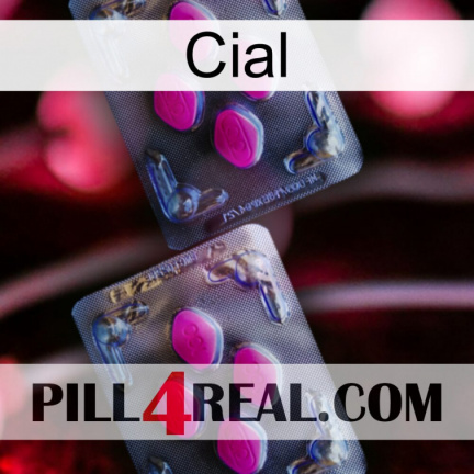 Cial 01